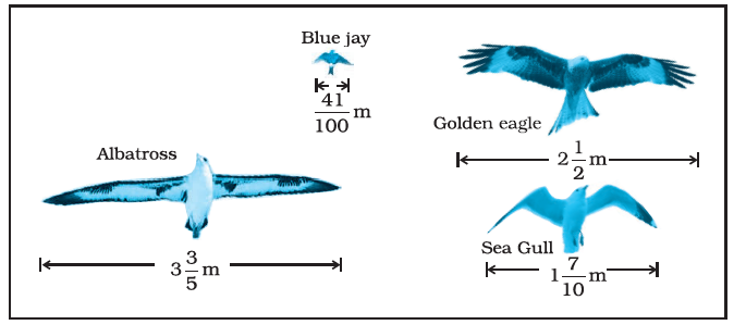 Page 23 Chapter 1 Class 8th NCERT Exemplar